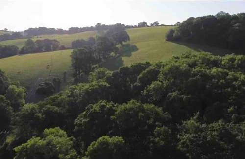 Exeter Apartment | Sleep next to a Horse in a stable by the city !