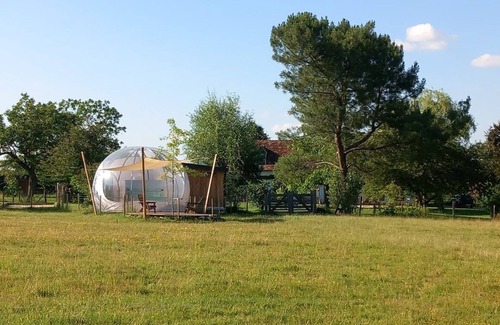 Herry Bed & Breakfast | Sleep under the starry night sky in our "Bulle des Alpagas.