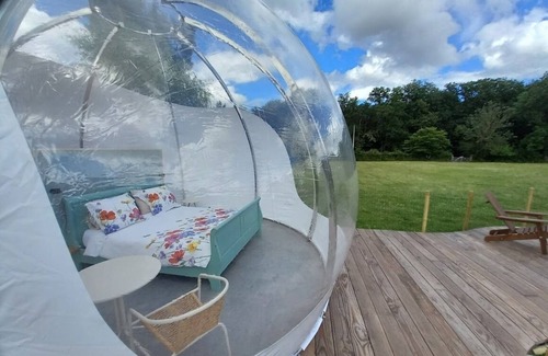 Herry Bed & Breakfast | Sleep under the starry night sky in our "Bulle des Alpagas.