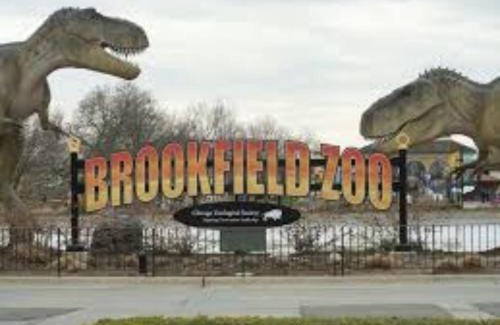 Brookfield House | Sleeps 10 + Coffee bar + Game Room + Train to CHGO