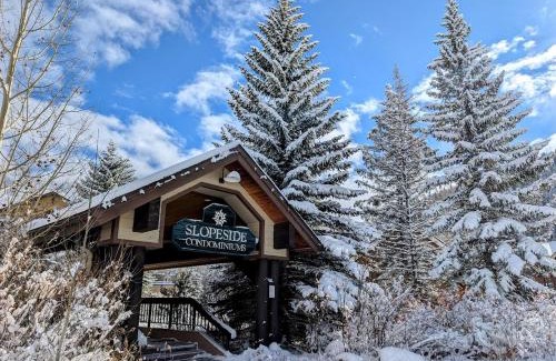 Mountain House House | Slopeside 2736A by SummitCove Lodging