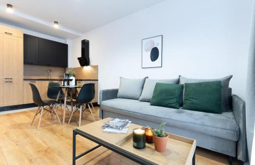 Nowe Miasto Lubawskie Apartment | Slow River Apartment