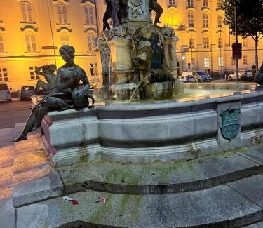 Fußach Apartment | Small attic apartment close to Lake and Mountains Fussach