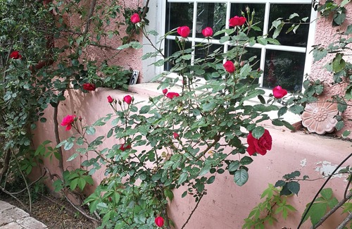Chalandri Villa | Small villa with a large private and quiet garden, 10 min walk from Metro
