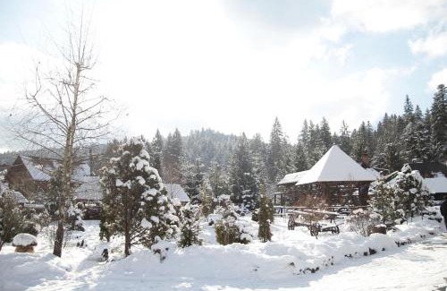 Zhdeniyevo Hotel | Smerekovyi Dvir