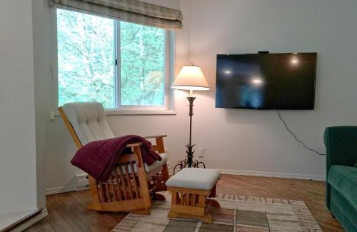 Glacier Ski Chalet | Snowline Cabin 13 - An Architectural Gem Pet Friendly and Free Wi-fi