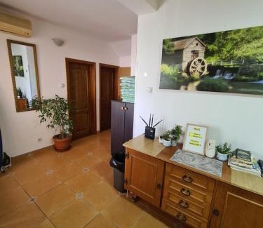 Golubovina House | Sobe Nedović