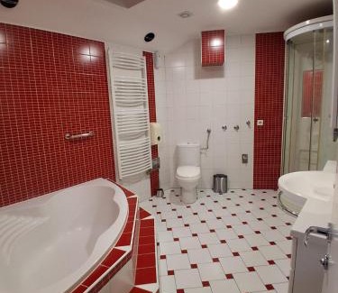 Pozega House | Sobe Ritz