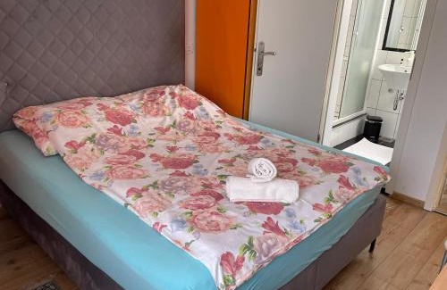 Medvode House | Sobe Stremljan Ljubljana