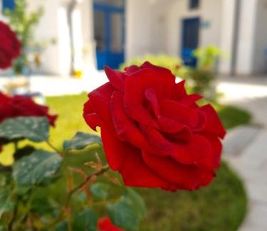 Aversa Bed & Breakfast | Sognando Vietri e SPA Esclusiva P T