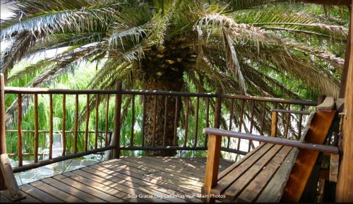 Lindequesdrif Other | Sola Gracia Log Cabin on the Vaal