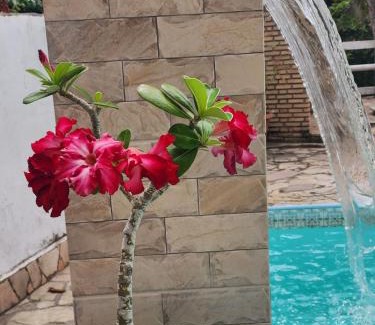 Olivenca House | Solange apartment-Casa em Ilheus-Olivença