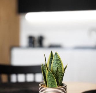 Kielce Apartment | SolApart