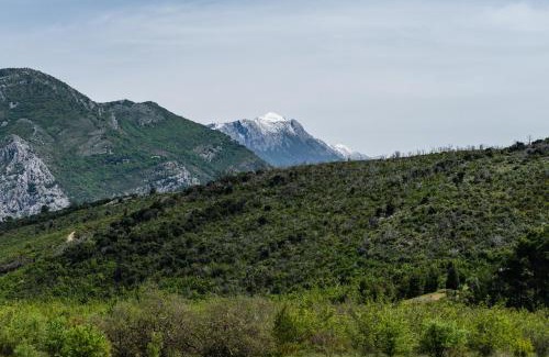 Sutomore Apartment | Solaris Summer Resort Apartments