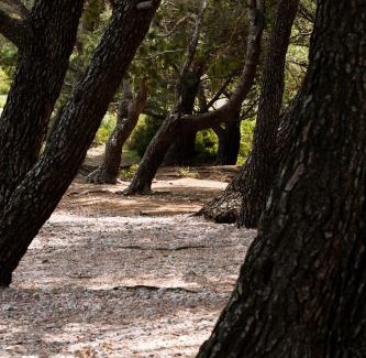 Sutomore Apartment | Solaris Summer Resort Apartments