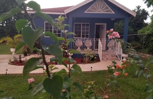 Savanna la Mar Villa | Something Blue