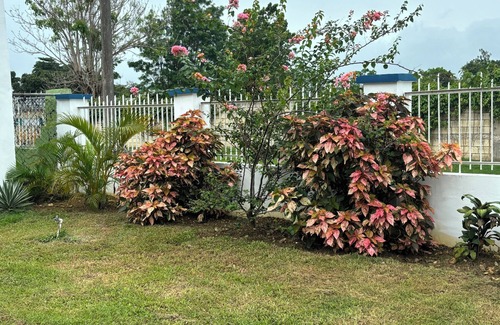Savanna la Mar House | “Something Blue”nEntire property in Westmoreland, Jamaica nCozy 3 bedroom home