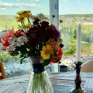 Vestby House | Son view