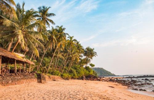 Cola Resort | Soneca Cola