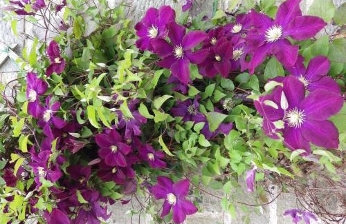 Newcastleton Bed & Breakfast | Sorbietrees B&B