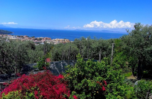 Sorrento House | Sorrento Mansion: Relax, Explore, Savor