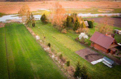 gmina Łapy House | Sosnowy domek w rezerwacie nad Narwią