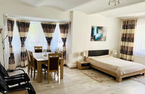 Dlugopole-Zdroj Apartment | Spa Park Guest Rooms