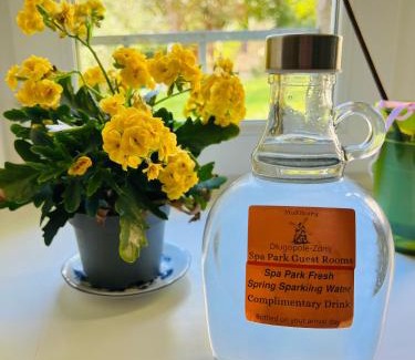 Dlugopole-Zdroj Apartment | Spa Park Guest Rooms