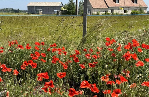 Noyant-Villages Cottage | Spacious 3 bed gite perfect to explore all the attractions of the Loire Valley