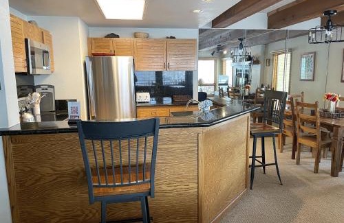 Crested Butte Apartment | Spacious 3 Br With Updated Kitchen Condo