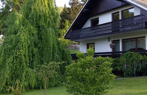 Bohinjska Bela Apartment | Spacious apartment