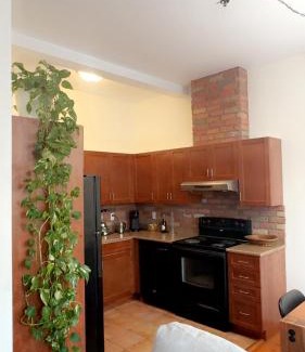 LaSalle Apartment | Spacious Condo with a Bright Interior
