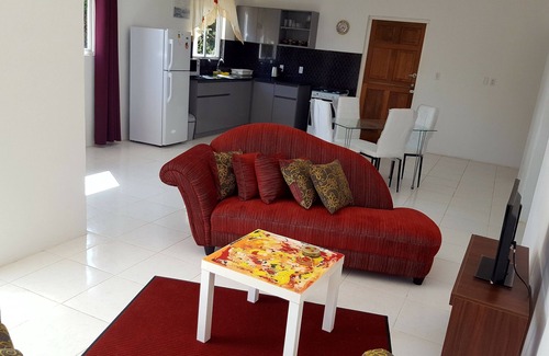 Santa Rosa House | Spacious cozy house for living and working