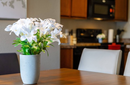 Cimarron Foothills Estates Apartment | Spacious FULL 3BR/2BA Near Golf&Nature in Tucson