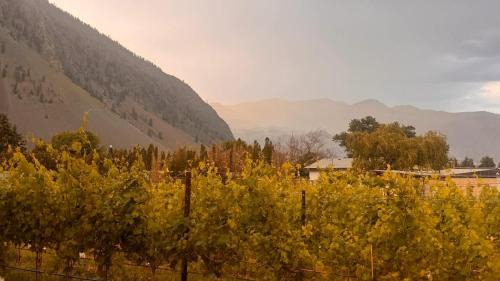 Okanagan-Similkameen House | Spacious Getaway Two Homes on a Tranquil Vineyard Ideal for Large Groups