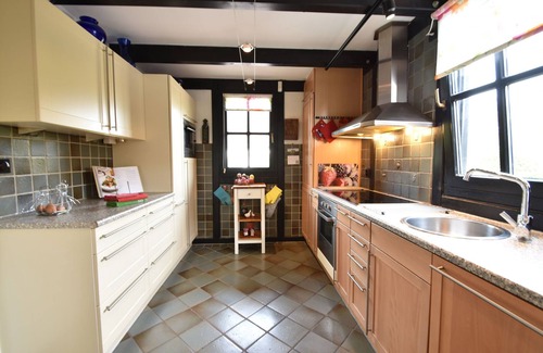 Bruinisse Villa | Spacious Mansion with Meadow View in Bruinisse