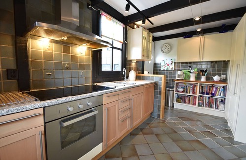 Bruinisse Villa | Spacious Mansion with Meadow View in Bruinisse