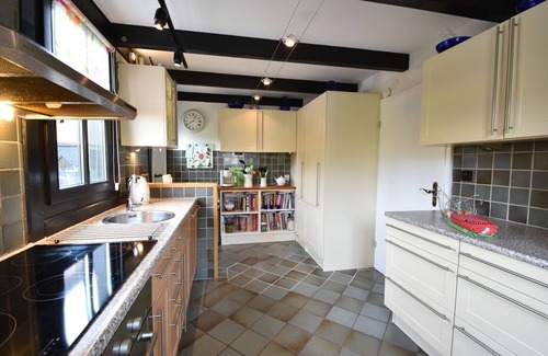 Bruinisse Villa | Spacious Mansion with Meadow View in Bruinisse