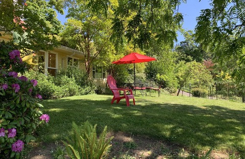 Amazon House | Spacious Mid Century Modern home - Great location! Walk to University of Oregon