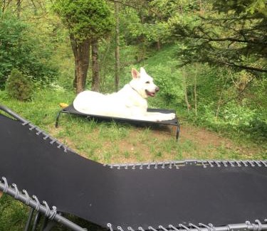 Slovenske Konjice Apartment | Spacious nest between Maribor and Celje NiceHead