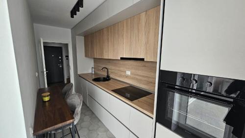 Targoviste Apartment | Spacious Riverside View, Class Park