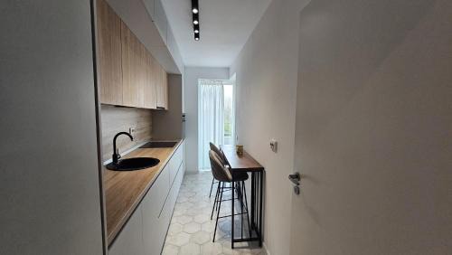 Targoviste Apartment | Spacious Riverside View, Class Park