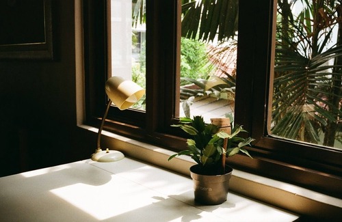 Bukit Timah House | Spacious Room in Beautiful & Green Terrace House