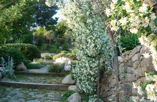 Marina di Pisciotta Apartment | Spacious room with independent access