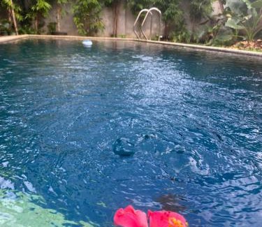 Albuquerque Apartment | Spacious Studio Apartment 3 with Pool