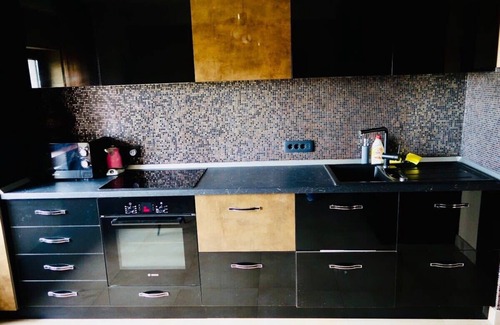 Timisoara Apartment | Special Big Apartm with Art SB11