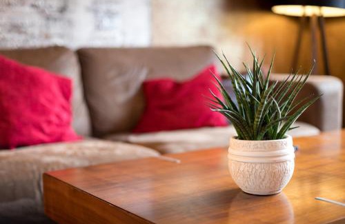 Basel City Centre Apartment | Special Retreat Apartment & Home-Office & Workplace