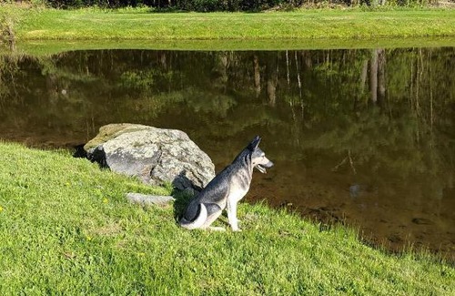 Glendale Hotel | Spencertown Inn