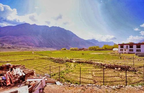 Spiti House | Spiti Oasis