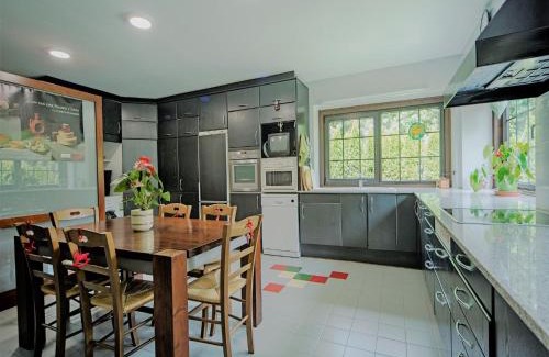 Vielha e Mijaran House | Splendid house next to the Baqueira Beret ski resort